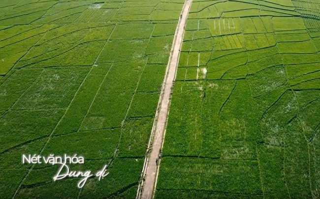 티저 골드 코스트 붕따우